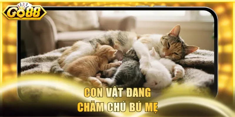 Con vật đang chăm chú bú mẹ