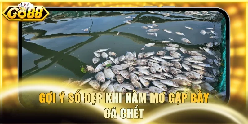 Gợi ý số đẹp khi nằm mơ gặp bầy cá chết