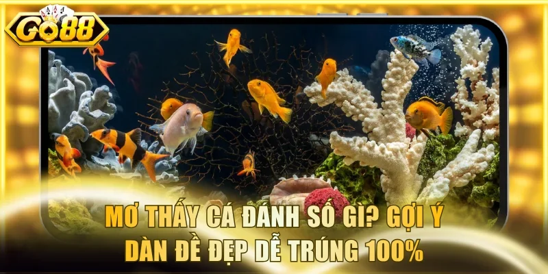 Mơ thấy cá đánh số gì