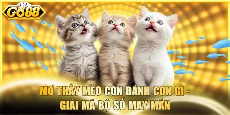 Mơ thấy mèo con đánh con gì