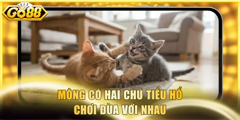 Mộng có hai chú tiểu hổ chơi đùa với nhau