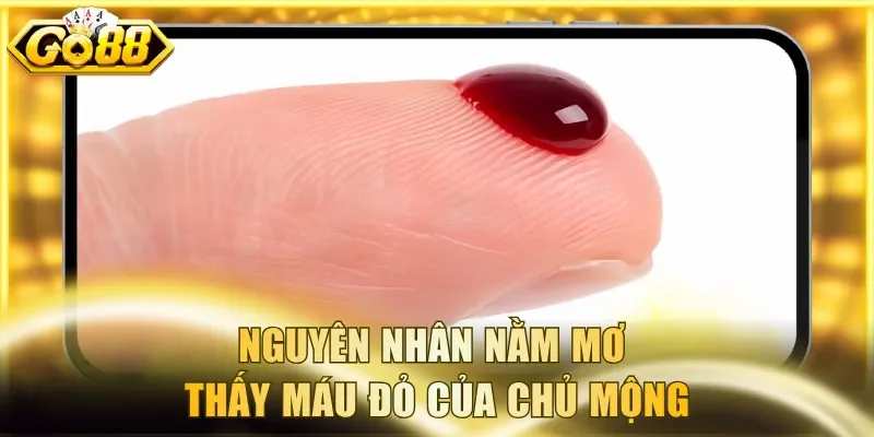 Nguyên nhân nằm mơ thấy máu đỏ của chủ mộng