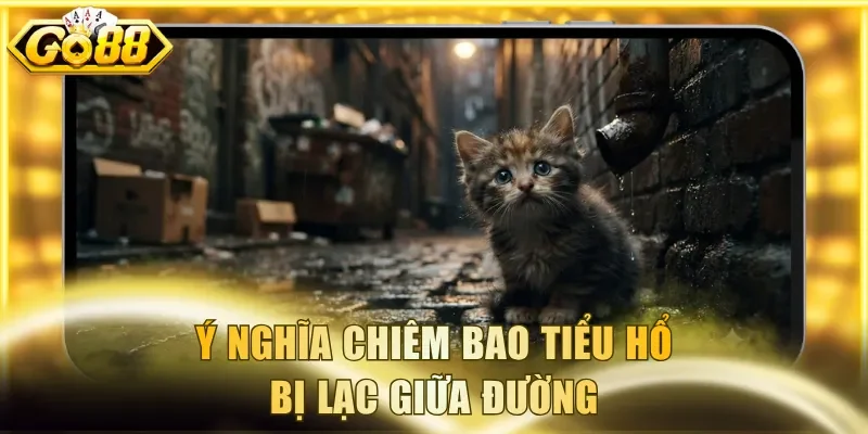Ý nghĩa chiêm bao tiểu hổ bị lạc giữa đường